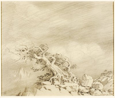 Ohne Titel (Transferzeichnung für Sturm nahe der Baumgrenze) von George Elbert Burr
