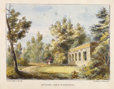 Vogelhaus, Kew Gardens, Tafel 10 aus Kew Gardens: Eine Serie von vierundzwanzig Zeichnungen auf Stein, graviert von Charles Hullmandel (1789-1850), veröffentlicht 1820 von George Ernest after Papendiek