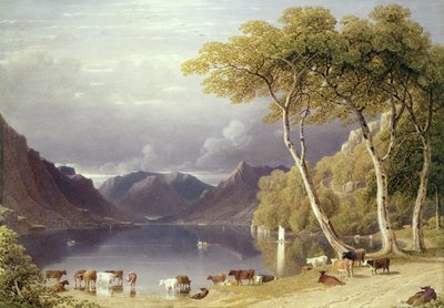 Kopf von Ullswater im Lake District von George Fennel Robson