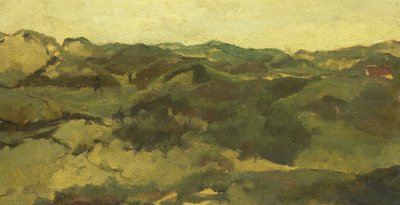 Eine Heidelandschaft, vermutlich in Drenthe von George Hendrik Breitner
