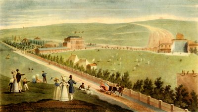 Cricket in Irlands Royal Brighton Gardens von George Hunt