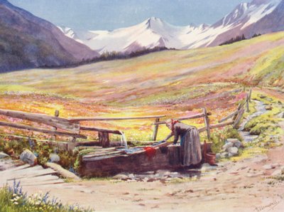 Frühe Juni-Felder jenseits von Praz de Fort im Val Ferret, unterstützt von der Gruppe du Grand Saint-Bernard et du Grand Golliaz (Farblithographie) von George Jackson Flemwell