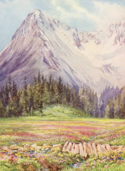 Gentiana verna und Primula farinosa auf den unteren Feldern von Champex gegen Ende Mai, mit einem Teil des Saleinaz-Massivs im Hintergrund von George Jackson Flemwell