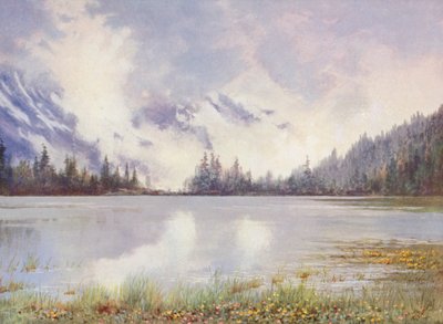 Lac Champex in Wolkenland Ende Mai; Caltha palustris und Primula farinosa am Wasserufer von George Jackson Flemwell