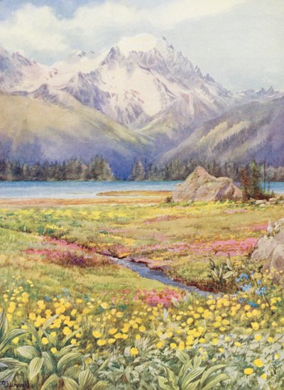 Die oberen Felder von Champex Anfang Juni, mit dem Grand Combin in der Ferne von George Jackson Flemwell