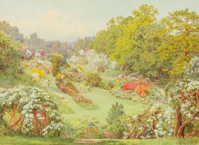 Frühlingsblüten von George Marks