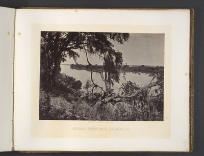 Savannah River, in der Nähe von Savannah, Georgia von George N. Barnard