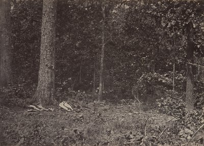Szene vom Tod von General McPherson, 1864 oder 1866 von George N. Barnard