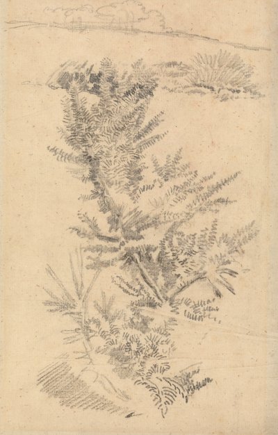 Studie von Bäumen usw. auf einer Wiese von George Richmond