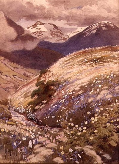 Alpenblumen von George Soper