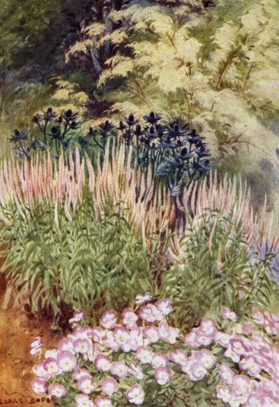Veronica spicata rosea mit Eryngiums und Violas von George Soper