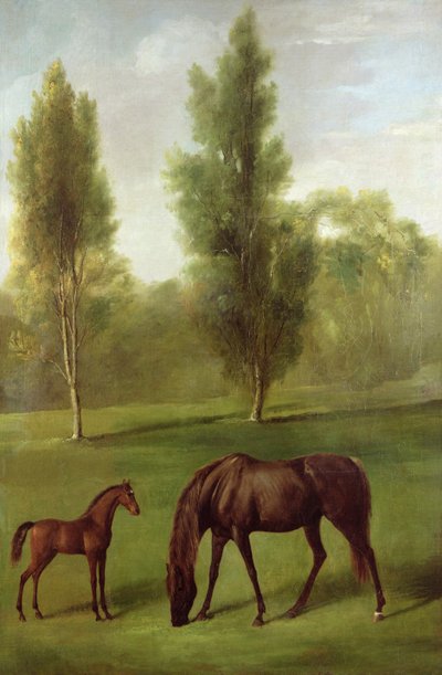 Eine kastanienbraune Stute und Fohlen in einer bewaldeten Landschaft, ca. 1761-63 von George Stubbs