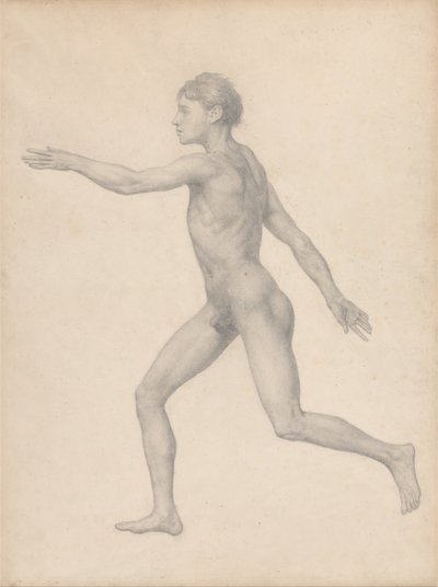 Vergleichende anatomische Darstellung der Struktur des menschlichen Körpers mit der eines Tigers und eines gewöhnlichen Huhns: Menschliche Figur, Seitenansicht, unzerlegt von George Stubbs