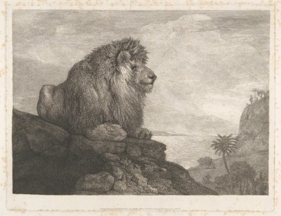 Ein Löwe (Ein auf einem Felsen ruhender Löwe) von George Stubbs