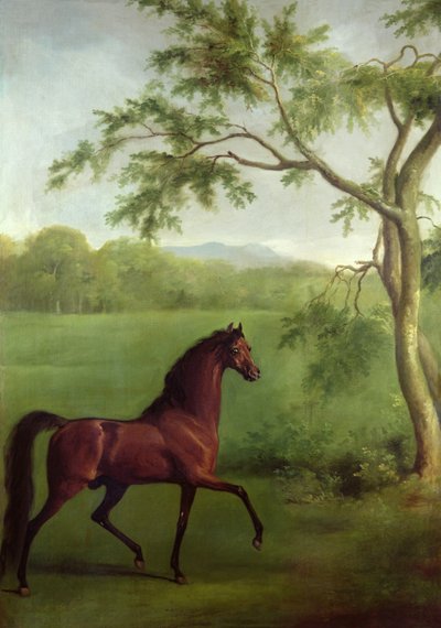 Ein arabischer Hengst unter einem Baum, ca. 1761-63 von George Stubbs