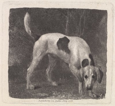 Hund (Ein Fuchshund auf der Fährte) graviert vom Künstler, veröffentlicht 1788 von George Stubbs