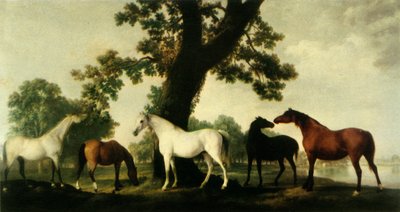 Fünf Zuchtstuten auf der Gestütsfarm des Herzogs von Cumberland im Windsor Great Park, 1765, 1944 von George Stubbs
