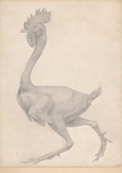 Geflügel, Seitenansicht mit den meisten Federn entfernt (Fertige Studie für Tisch X) von George Stubbs