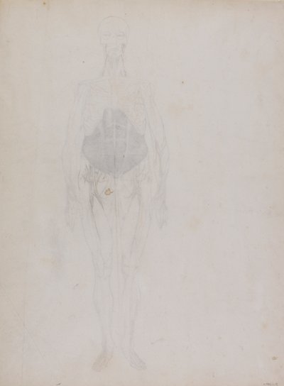 Menschliche Figur, Vorderansicht (größtenteils in Umrissen) von George Stubbs