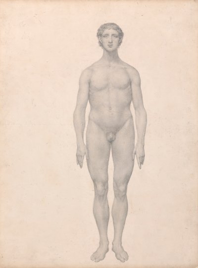 Menschliche Figur, vordere Ansicht, unzerlegt (fertige Studie für Tabelle VI) von George Stubbs
