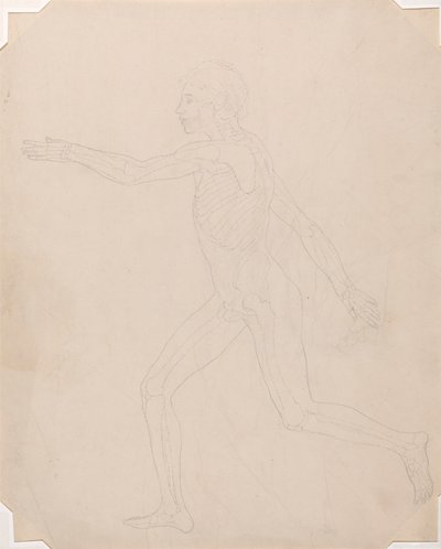 Menschliche Figur, Seitenansicht von George Stubbs