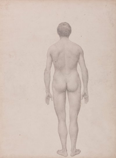 Menschliche Figur, Rückansicht, unseziert (Fertige Studie für Tabelle VII) von George Stubbs