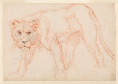 Löwin auf der Pirsch von George Stubbs