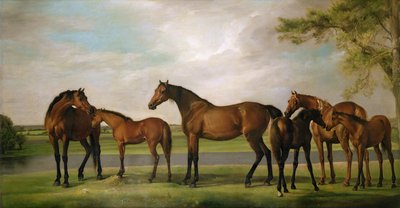 Stuten und Fohlen, die von einem herannahenden Sturm aufgeschreckt werden, 1764-66 von George Stubbs