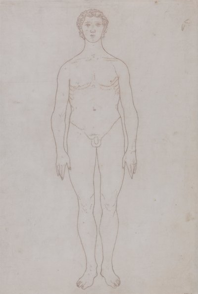 Studie der menschlichen Figur, Vorderansicht (Umrisszeichnung für Tafel VI) von George Stubbs
