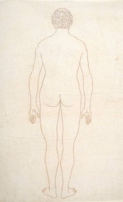 Studie der menschlichen Figur, Rückansicht, aus Ein vergleichendes anatomisches Exposé der Struktur des menschlichen Körpers mit dem eines Tigers und eines gewöhnlichen Huhns von George Stubbs