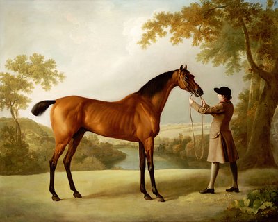 Tristram Shandy, ein braunes Rennpferd, gehalten von einem Stallburschen in einer weiten Landschaft, ca. 1760 von George Stubbs