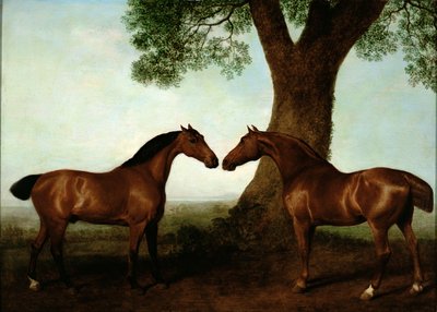 Zwei braune Jäger bei einem Baum, 1786 von George Stubbs