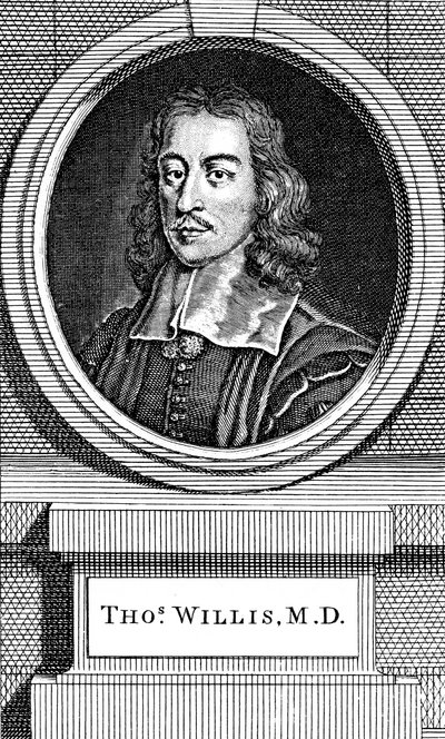 Thomas Willis, englischer Arzt des 17. Jahrhunderts, 1742 von George Vertue