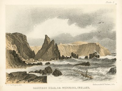 Baginbun Head, Co Wexford, Irland von George Victor Du Noyer