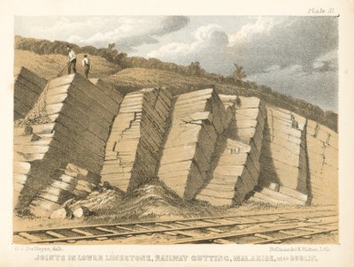Fugen im unteren Kalkstein, Eisenbahnschnitt, Malahide, nahe Dublin von George Victor Du Noyer