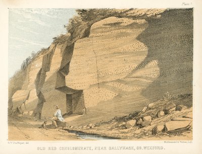 Alter roter Konglomerat, nahe Ballyhack, Co Wexford von George Victor Du Noyer