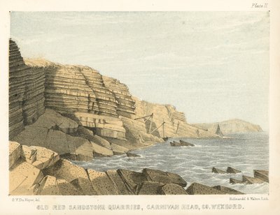 Old Red Sandstone Steinbrüche, Carnivan Head, Co Wexford von George Victor Du Noyer