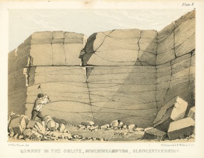 Steinbruch im Oolith, Minchinhampton, Gloucestershire von George Victor Du Noyer