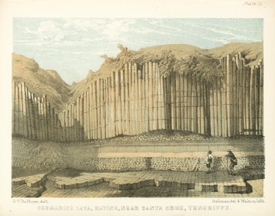 Unterwasserlava, Schlucht, nahe Santa Cruz, Teneriffa von George Victor Du Noyer