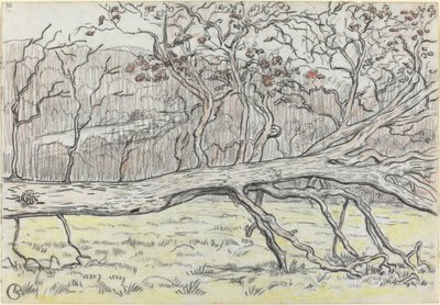 Gefällter Baum, Normandie von Georges Lacombe