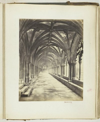 Ohne Titel von Georgina Cowper