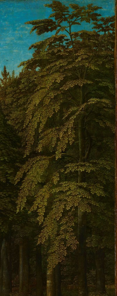 Ansicht in einem Wald, äußere rechte Flügel eines Triptychons von Gerard David
