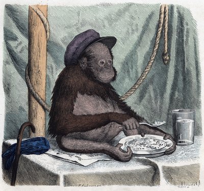 Ein gebildeter Orang-Utan isst Reis mit einem Löffel. In 