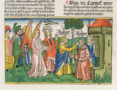 Apokryphen: Tobias stellt das Augenlicht seines Vaters Tobit mit der Galle eines Fisches wieder her, aus der Nürnberger Bibel (Biblia Sacra Germanaica) von German School