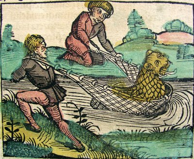 Fangen eines Löwenwels-Monsters, veröffentlicht in der Nürnberger Chronik, 1493 von German School
