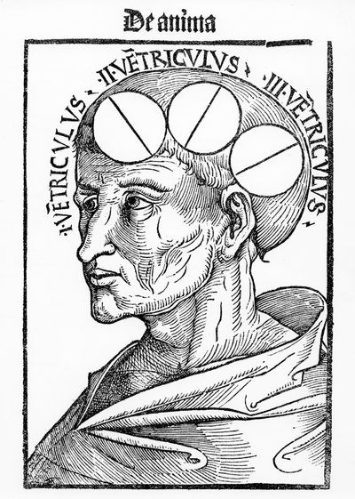 Hohlräume des Gehirns, aus Philosophia Naturalis von Albertus Magnus, veröffentlicht in Basel, 1506 von German School