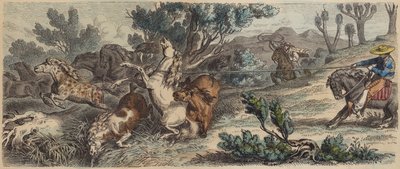 Wildpferde einfangen in New Mexico von German School