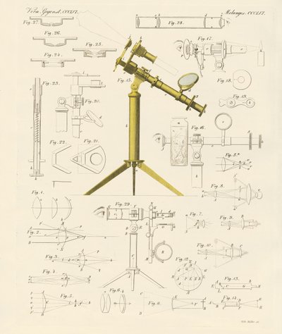 Lupe und mikroskopische Vergnügungen von German School