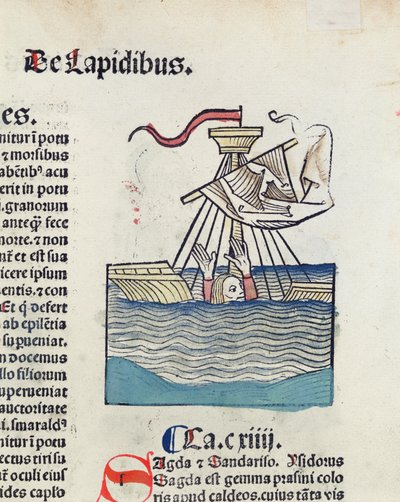 Mann in einem schiffbrüchigen Boot, Illustration aus Hortus Sanitatis, 1491 von German School