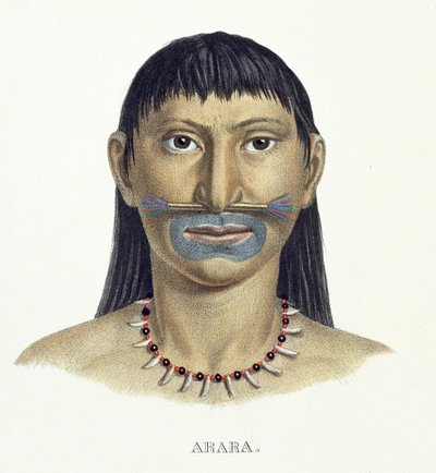 Einheimischer Mann des Arara-Stammes mit blauer Gesichtsbemalung, aus Atlas einer Reise in Brasilien von Johann Baptist von Spix (1781-1826) und Karl Friedrich Philipp Martius (1794-1868), veröffentlicht ca. 1835-50 von German School